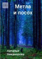 Метла и посох (СИ)